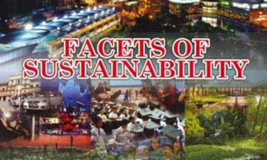 Facets of Sustainability
