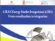 Institutional and Governance Dimensions of AEMI