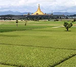 Myanmar: From Asia’s Forgotten Rice Bowl to Feeding the Future