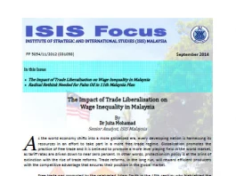 ISIS focus No.9/2014