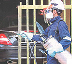 Battling the Dengue Menace
