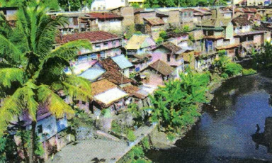 Promoting Asian Perspectives on Sustainable Development