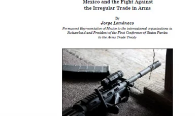 ISIS focus No.10/2015
