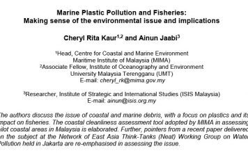 Marine Plastic Pollution and Fisheries: Making sense of the environmental issue and implications