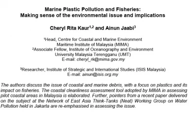 Marine Plastic Pollution and Fisheries: Making sense of the environmental issue and implications