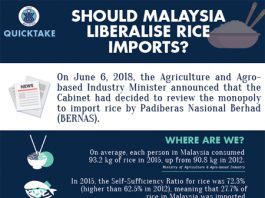 Should Malaysia liberalise its rice imports?