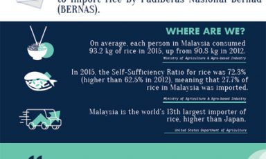 Should Malaysia liberalise its rice imports?