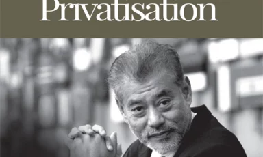 Economic Growth, Environment and Privatisation